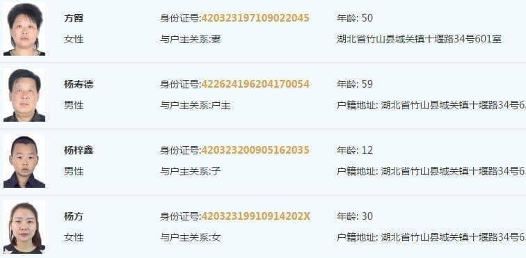 案例图片