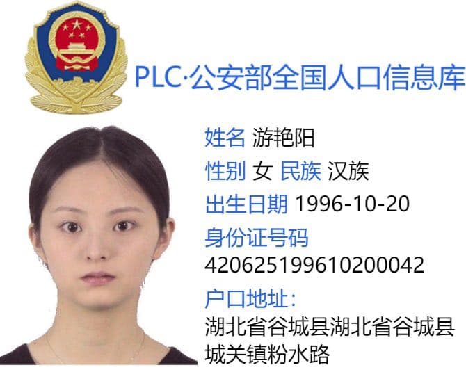 案例图片