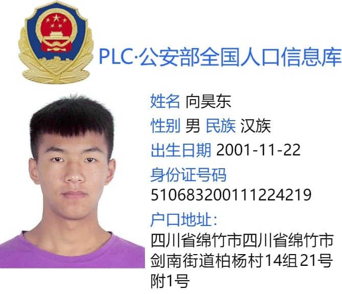 案例图片