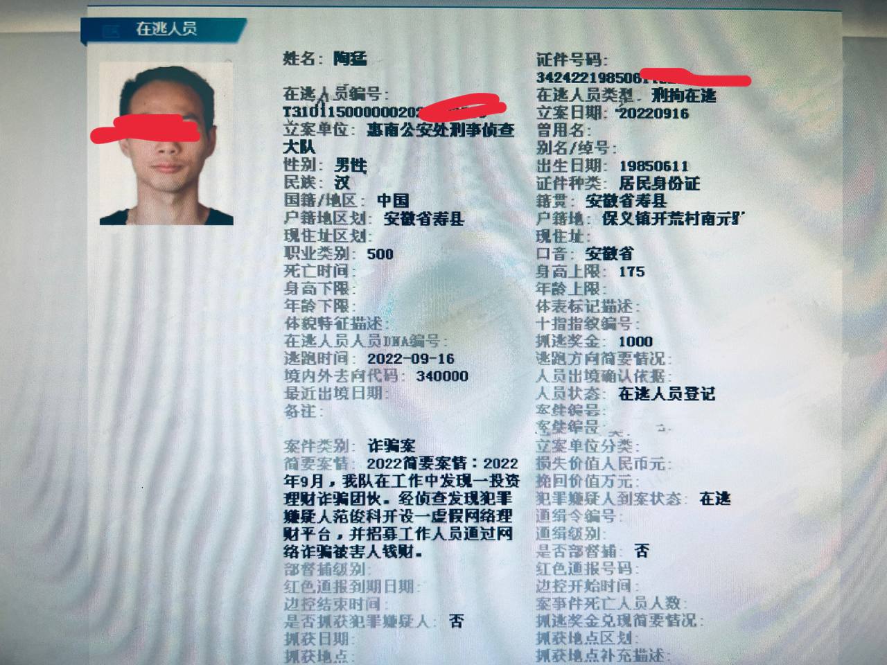 案例图片