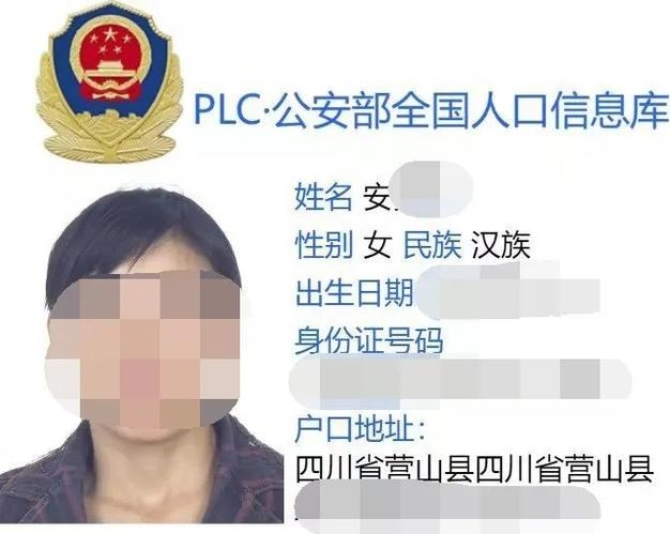 案例图片